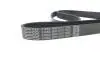 Ремень поликлиновой DAYCO 6PK1570 (фото 4)