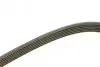 Ремень П-клиновый 6PK1850 BOSCH 1987946080 (фото 3)