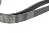 Ремень П-клиновый 7PK1920 BOSCH 1987947556 (фото 4)