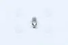Автолампа Original C10W SV8,5-8 10 W прозрачная OSRAM 6438 (фото 4)
