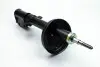 Амортизатор передний масляный 1,6 16V, 1,9dci 4x4 Kangoo I, 2001-, AGR143MT, 338700, 8200324239, RENAULT 8200675691 (фото 1)