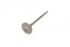 Клапан выпускной CHEVROLET AVEO (T200/T255)/LACETTI (J200)/CRUZE 1.6 DOHC (азотированный) PCHE008-A-0-N AMP PCHE008A0N (фото 5)