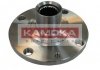 Комплект підшипника маточини колеса KAMOKA 5500107