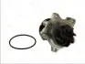 Водяний насос THERMOTEC D1G033TT (фото 2)