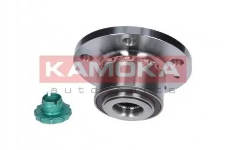 Комплект подшипника ступицы колеса KAMOKA 5500063