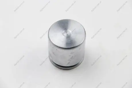 Поршень супорта перед PUNTO (48х47,1мм)) 93-12 SEINSA AUTOFREN D02564