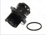 Водяний насос THERMOTEC D1W039TT (фото 1)