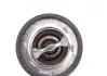 Термостат F4R, K7J, К7М, K4J, K4M 89°C Logan, Duster, Kangoo, Megane II, Trafic II, LT0902, 30403, 52903, 15604789z, 700171, TRK0611, 700171755, TH23389G1, ATH6789, TH604789J, 826 RENAULT 8200772985 (фото 6)