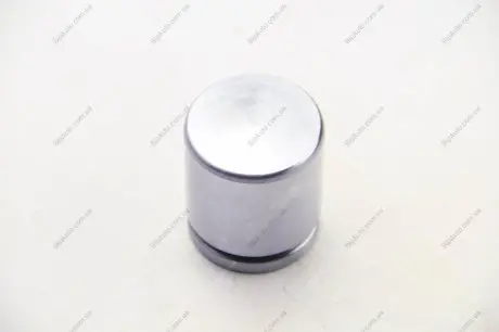 Поршень, корпус скобы тормоза SEINSA AUTOFREN D025580
