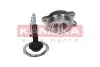 Комплект подшипника ступицы колеса KAMOKA 5500130 (фото 1)