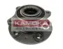 Комплект підшипника маточини колеса KAMOKA 5500068