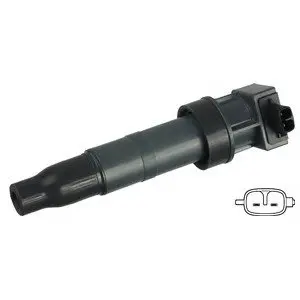 Катушка зажигания Hyundai Sonata/IX35/Santa FE 2.4-3.3 05-/Kia Sportage 2.0-2.4 CVVT 09- Delphi GN10560-12B1