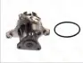 Водяний насос THERMOTEC D13038TT (фото 2)