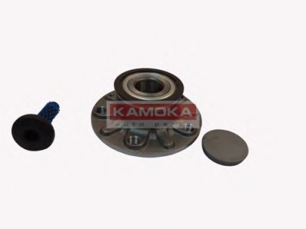 Комплект підшипника маточини колеса KAMOKA 5500119 (фото 1)