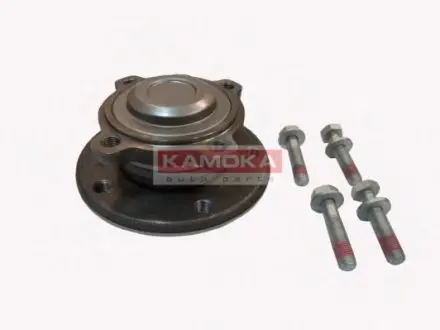 Комплект подшипника ступицы колеса KAMOKA 5500133