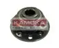 Комплект подшипника ступицы колеса KAMOKA 5500060