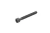 Болт крепления форсунки (M6X55) VW T5 2.5TDI 03-10 /Touareg 2.5TDI/5.0TDI 03-10 070 103 385A