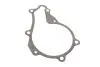 Комплект ремня ГРМ с водяным насосом CITROEN BERLINGO (B9) 1.6 HDi SKF VKMC 03259 (фото 12)