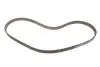 К-кт паска ГРМ Opel Astra H 1.9 CDTi 8V (Z 19 DTL Z 19 DT) 05- Gates K025650XS (фото 5)