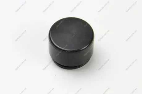 Поршенек суппорта перед BMW 1/2/3/4/MB W211/212/221/Touareg 44x32 AUTOFREN D025407