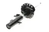 Амортизатор газомасляний BILSTEIN 22-246561 22246561