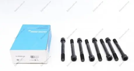 Комплект болтів головки цилідра REINZ 14-55063-01 VICTOR REINZ 145506301