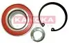 Комплект подшипника ступицы колеса KAMOKA 5600084
