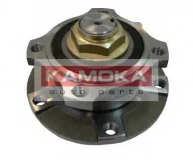 Комплект подшипника ступицы колеса KAMOKA 5500070 (фото 1)