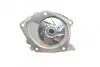 Водяной насос + комплект зубчатого ремня Contitech CT1025 WP2 (фото 8)