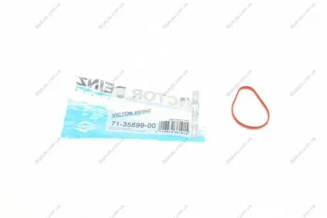 Прокладка, впускной коллектор REINZ 71-35899-00 VICTOR REINZ 713589900