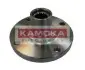 Ступица колеса Renault Kangoo,Clio передн. (пр-во KAMOKA) 5500102