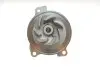Водяний насос + комплект зубчатого ременя SKF VKMC 01270 (фото 9)