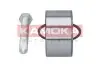 Підшипник маточини VW Transporter задн. KAMOKA 5600093 (фото 1)