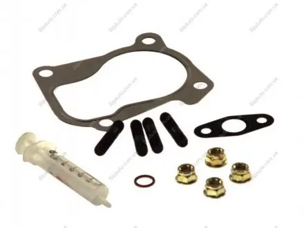 Прокладка турбіни (к-кт) Audi 80/A4/A6 / VW Golf/Passat 1.9 TD/TDI 91- 703.970 ELRING 703970