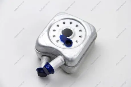 Радіатор оливи 2.5TDI LT 96-06/T4 98-03/Crafter 06- (під фільтр) BSG BSG90506003