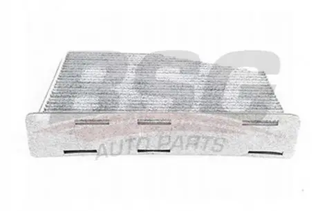 Фільтр салону Caddy III/Golf V/Passat B6/Octavia 04- (вугільний) BSG BSG90145013
