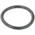 КІЛЬЦЕ УЩІЛЬНЮЮЧЕ СИСТЕМИ ОХОЛОДЖЕННЯ FEBEST RINGWH-B5 RINGWHB5
