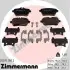 Колодки гальмівні дискові, к-кт ZIMMERMANN 250711902