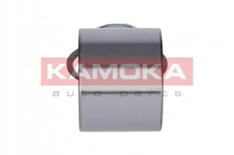 Подшипник ступицы Renault Kangoo KAMOKA 5600065
