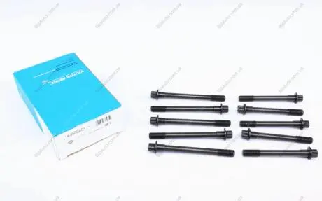 Комплект болтов головки цилидра REINZ 14-55002-01 VICTOR REINZ 145500201