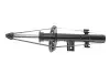 Амортизатор, задняя ось BILSTEIN 22249807
