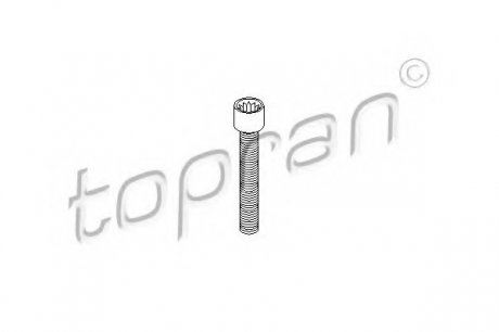 Болт кріплення ШРУСа TOPRAN / HANS PRIES 104306 (фото 1)