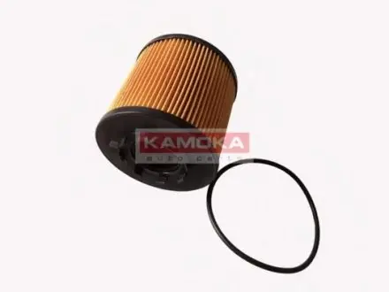 Фільтр масляний Renault Master KAMOKA F105701