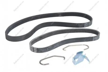 Пас привідний CONTINENTAL Contitech 6 PK 1019 T1