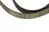 Пас поліклиновий Renault Laguna III 1.6 16V 07-15/ CONTINENTAL Contitech 6PK1822 EXTRA (фото 4)