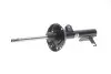 Амортизатор підвіски BILSTEIN 22-232502 22232502