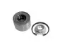 Подшипник ступицы, комплект RENAULT Clio &quot;R &quot;1,2/2,0L &quot;02&gt;&gt; SKF VKBA3639 (фото 13)
