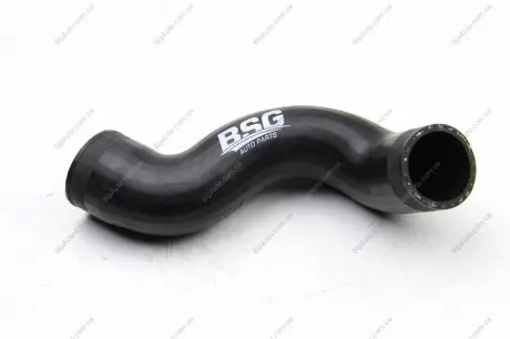 Трубка повітря, що нагнітається BSG BSG90720002