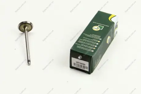 Впускний клапан BGA V016690