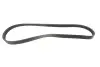 Ремень поликлиновой Conti CONTI 4PK811ELAST